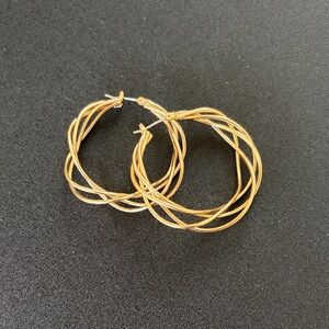 Elegant Goldtone Hoop Earrings